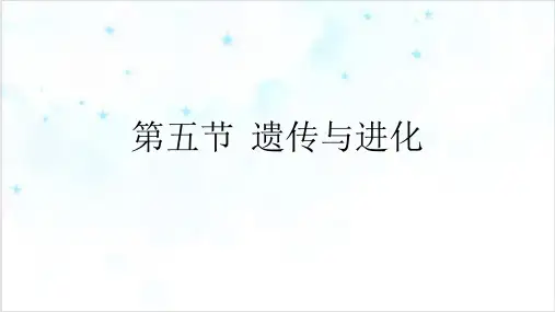 (九下第一章)遗传与进化—浙教版九级中考一轮同步复习课件PPT