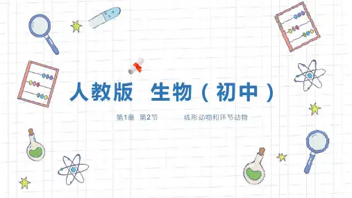 《线形动物和环形动物》人教版生物八年级上册PPT精品课件