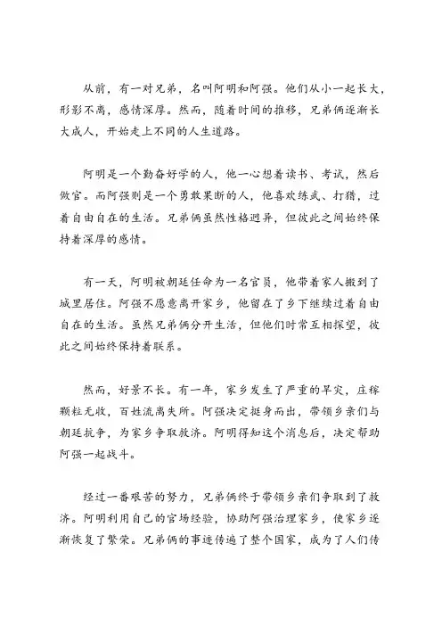 兄弟故事梗概归纳