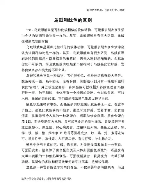 乌贼和鱿鱼的区别
