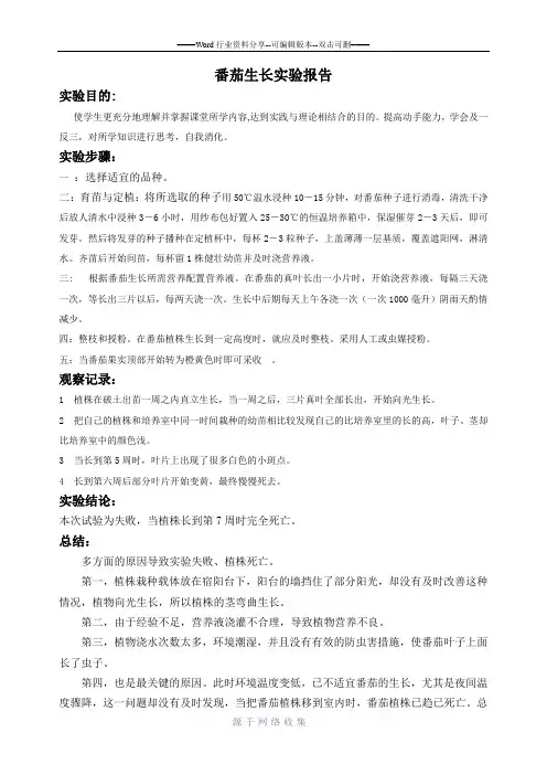 番茄生长实验报告