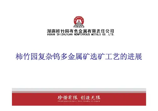 柿竹园复杂钨多金属矿选矿工艺的进展