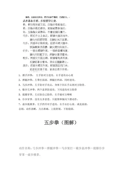 五步拳图谱