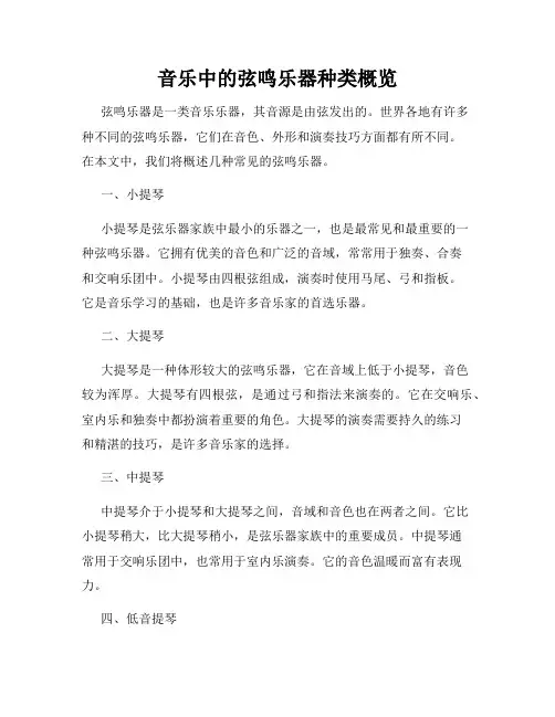 音乐中的弦鸣乐器种类概览