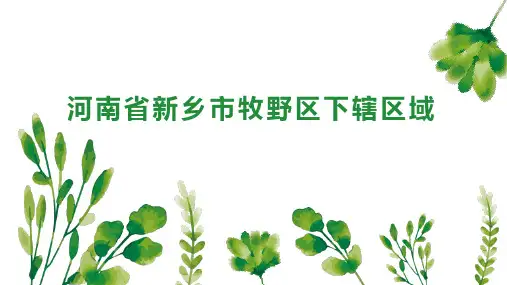 河南省新乡市牧野区下辖区域