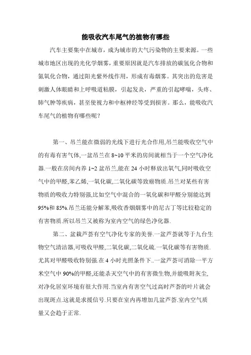 能吸收汽车尾气的植物有哪些