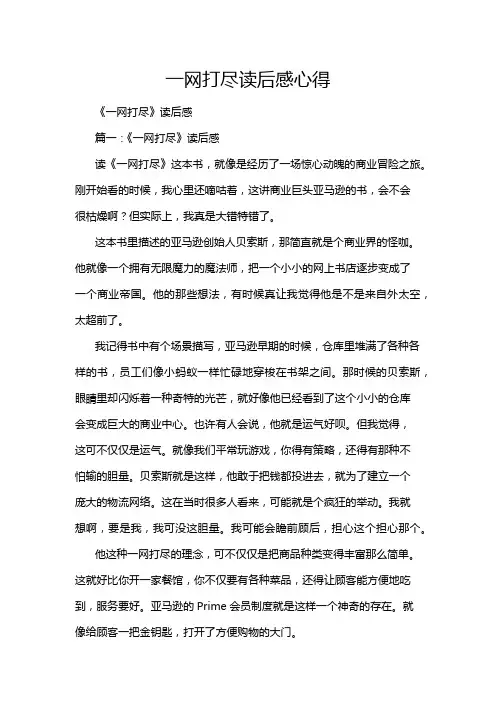 一网打尽读后感心得