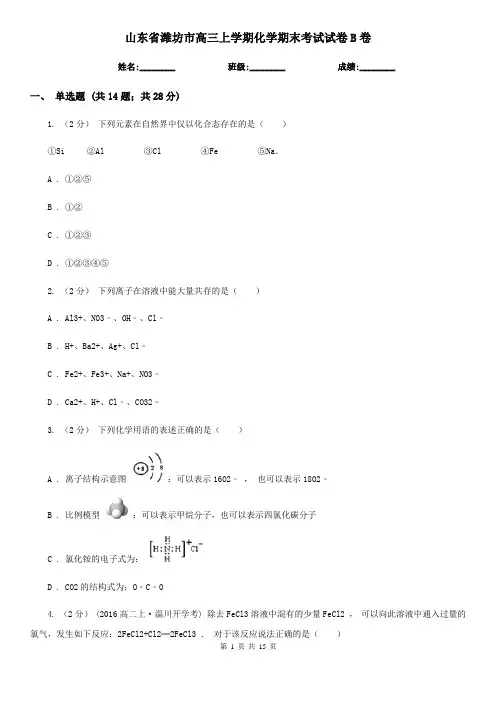 山东省潍坊市高三上学期化学期末考试试卷B卷