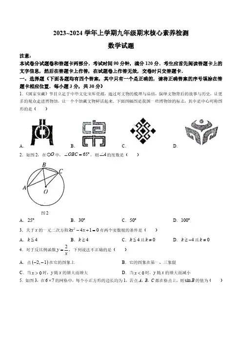 河南省周口市第十九初级中学2023-2024学年九年级上学期期末数学试题(含答案)