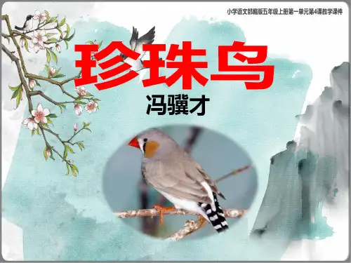 《珍珠鸟》课件(共30张PPT)