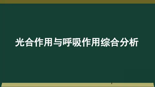 江西省新余市第四中学高三一轮复习生物必修一课件：第5章光合作用与呼吸作用综合分析(共32张PPT)