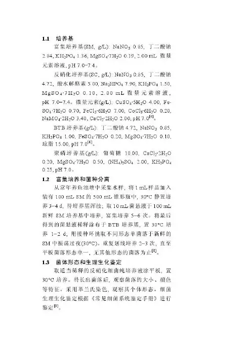 反硝化细菌——精选推荐
