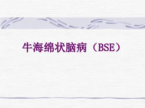 牛海绵状脑病检疫大全