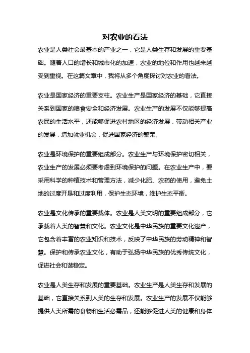 对农业的看法