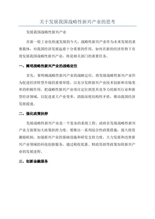 关于发展我国战略性新兴产业的思考