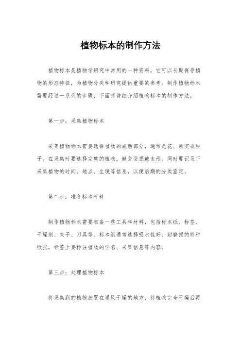 植物标本的制作方法