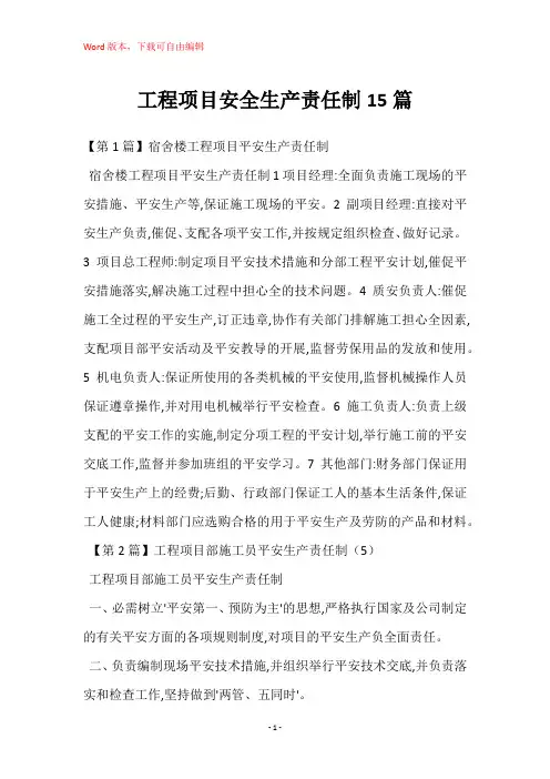 工程项目安全生产责任制15篇