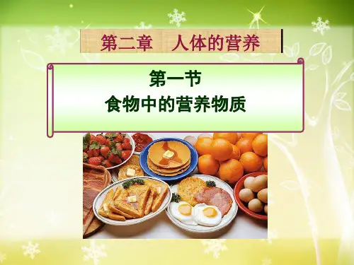 人教版 人体的营养 PPT教学课件10