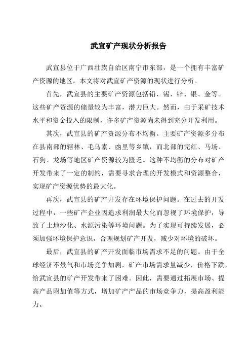 武宣矿产现状分析报告