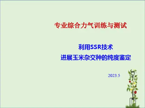 SSR分子标记剖析