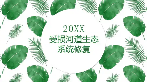 受损河道生态系统修复