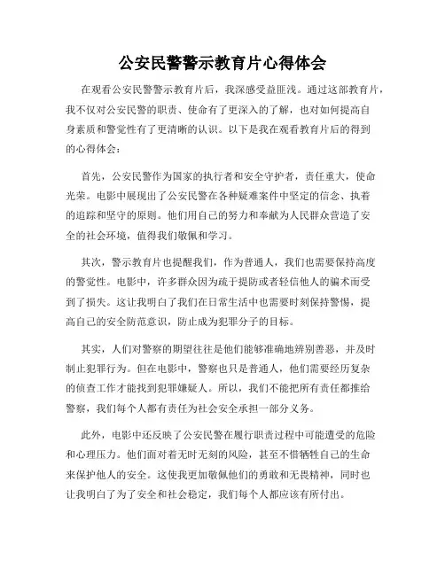 公安民警警示教育片心得体会