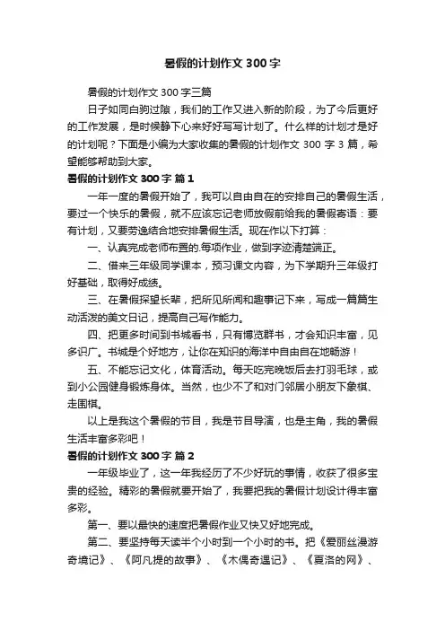 暑假的计划作文300字