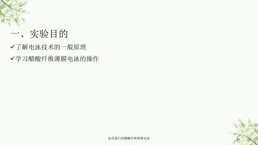 血清蛋白的醋酸纤维薄膜电泳课件