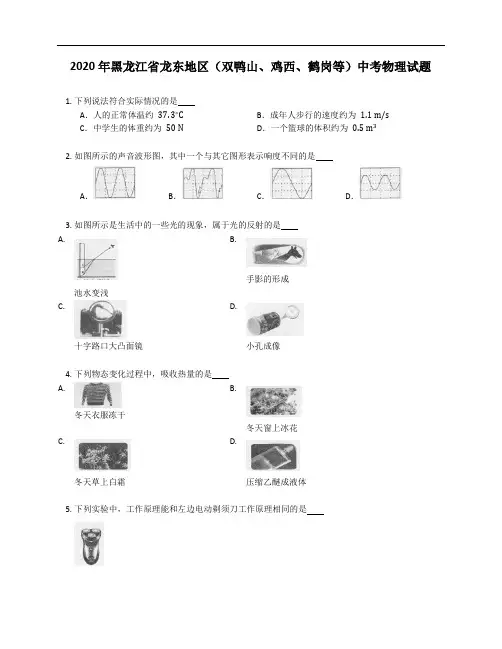 2020年黑龙江省龙东地区(双鸭山、鸡西、鹤岗等)中考物理试题(含答案)