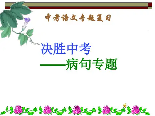 中考语文复习修改病句专题(全)市公开课获奖课件省名师示范课获奖课件