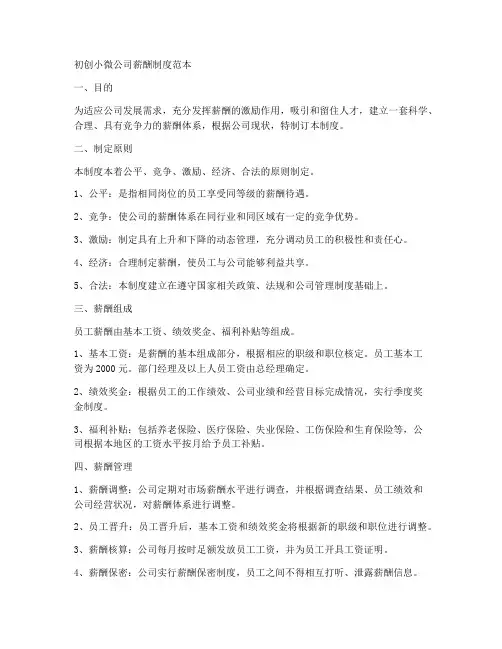 初创小微公司薪酬制度范本
