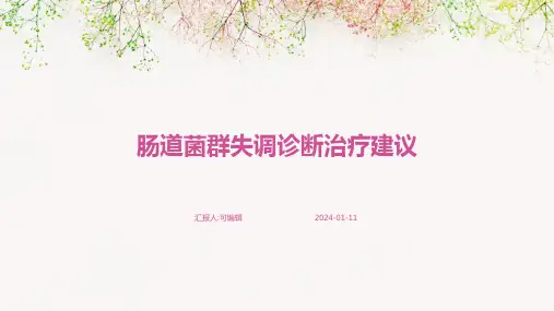 肠道菌群失调诊断治疗建议医学PPT