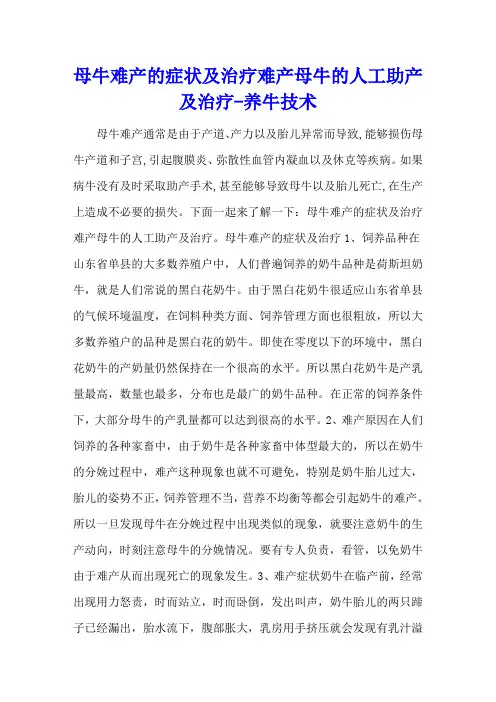 母牛难产的症状及治疗 难产母牛的人工助产及治疗 - 养牛技术