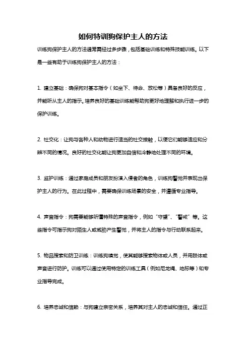 如何特训狗保护主人的方法