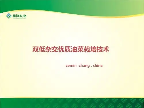 蒙古国油菜栽培技术培训ppt 2