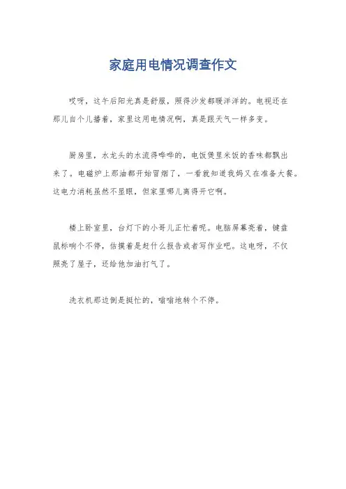 家庭用电情况调查作文