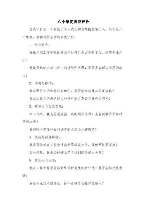 六个维度自我评价