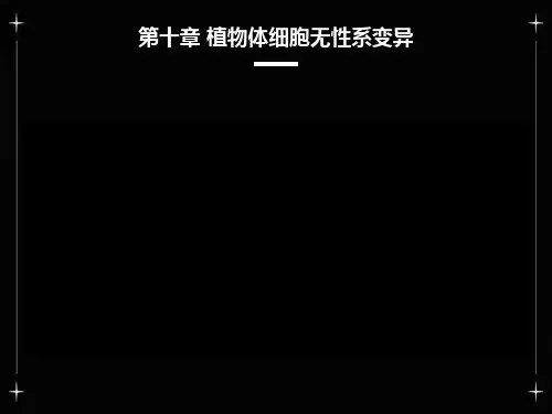 植物体细胞无性系变异