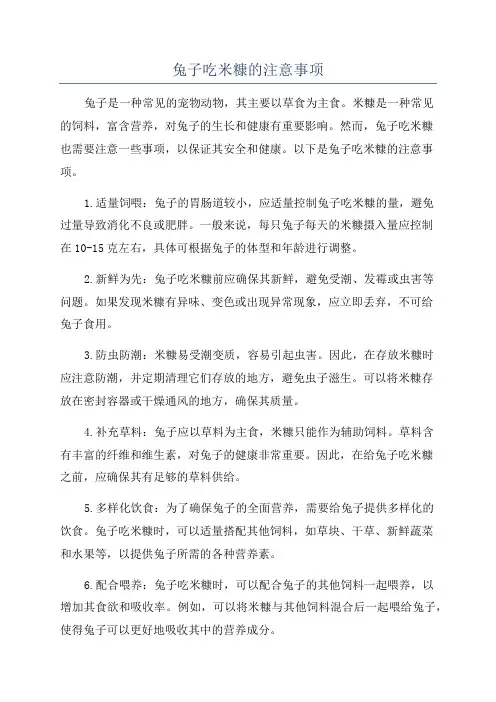 兔子吃米糠的注意事项