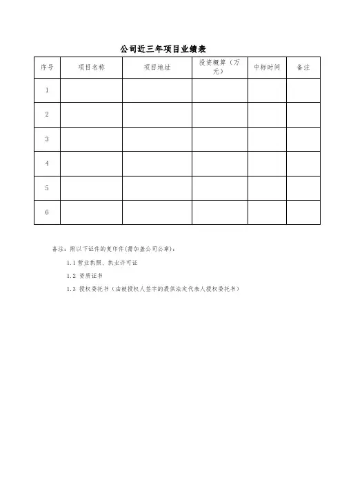 公司近三年项目业绩表