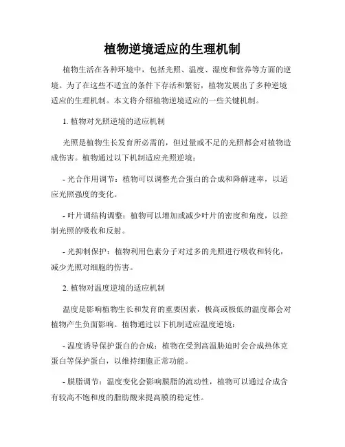 植物逆境适应的生理机制