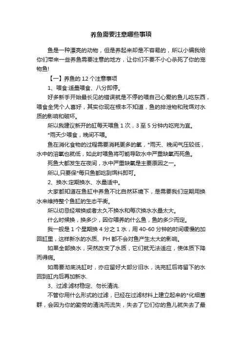 养鱼需要注意哪些事项