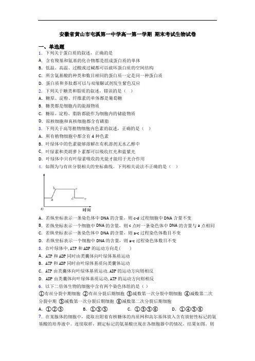 安徽省黄山市屯溪第一中学高一第一学期 期末考试生物试卷