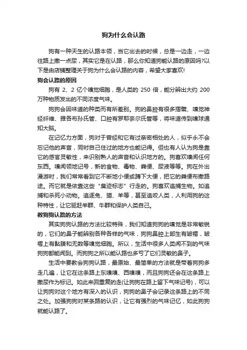 狗为什么会认路