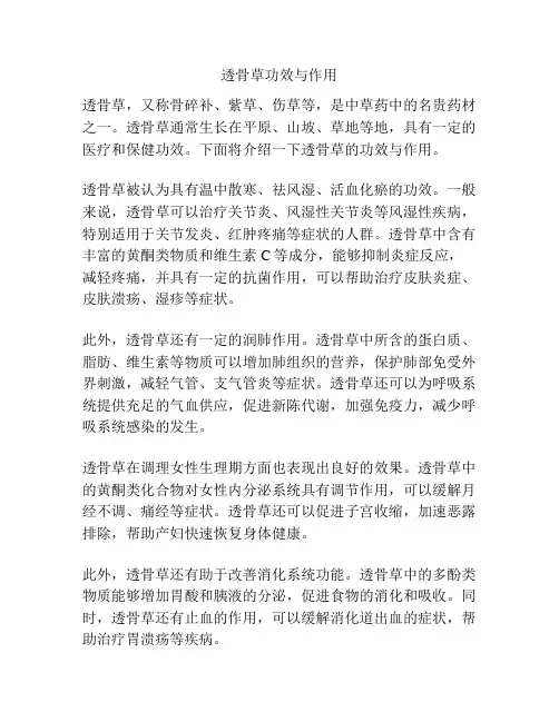 透骨草功效与作用