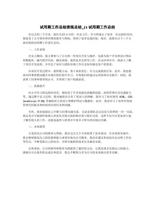 试用期工作总结表现总结_it试用期工作总结
