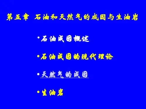 第五章-石油和天然气成因与生油岩
