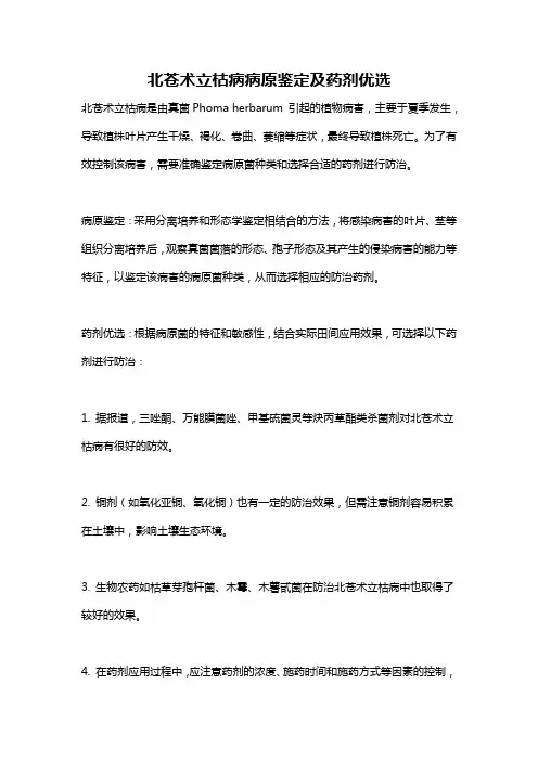 北苍术立枯病病原鉴定及药剂优选