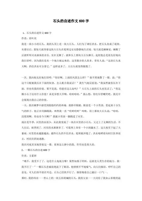 石头的自述作文600字