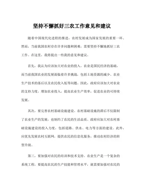 坚持不懈抓好三农工作意见和建议
